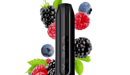 xbar-650-fresh-berry