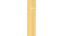 Elf-Bar-600-Peach-Ice Elf-Bar-600-Peach-Ice